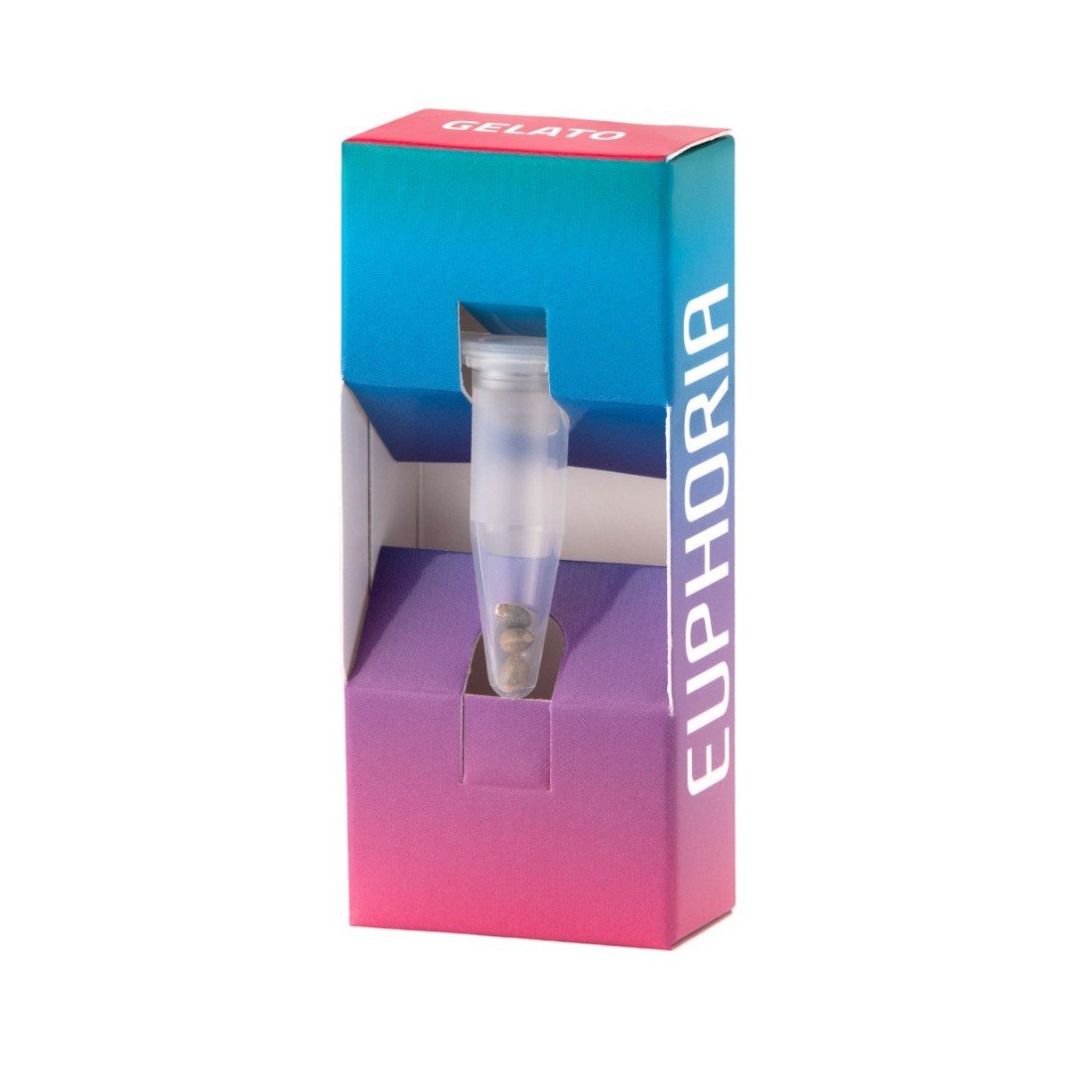 Gelato Autoflower Cannabis Samen